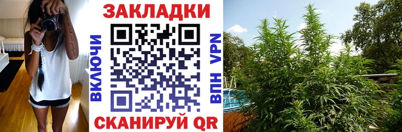 Цена Шацк АМФ  Каннабис  КОКАИН  Меф мяу мяу  kraken tor  ГАШ 
