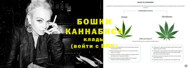 трава Заволжье