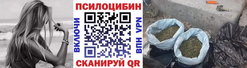 Псилоцибиновые грибы мухоморы Шацк