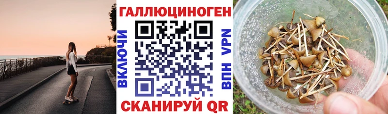 Галлюциногенные грибы Cubensis  магазин продажи   Шацк 