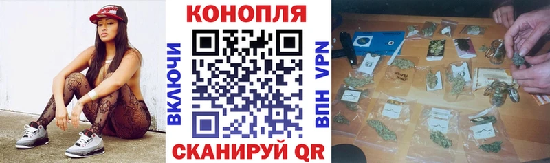 где можно купить наркотик  Шацк  mega рабочий сайт  Конопля сатива 